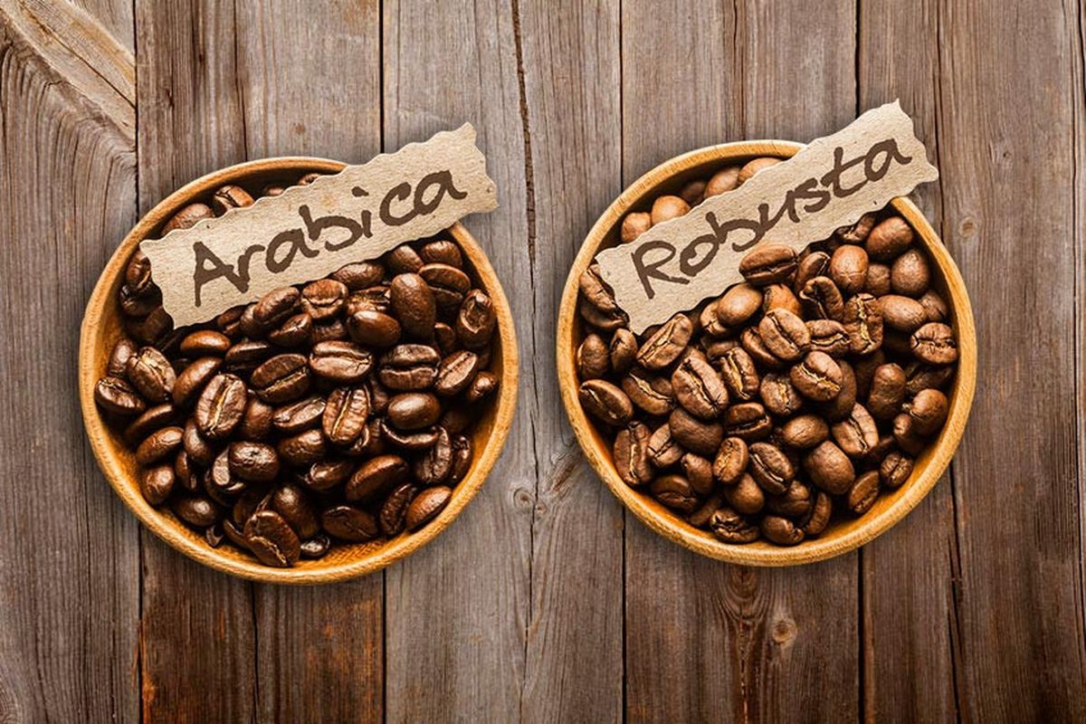 Pilih Mana, Kopi Robusta atau Arabika? Simak Perbedaan dan Keunggulannya