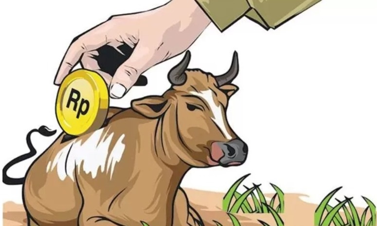 Sapi Program Ketahanan Pangan Desa di Karang Tinggi Diduga Dijual, Warga Pertanyakan Kejelasan Dana