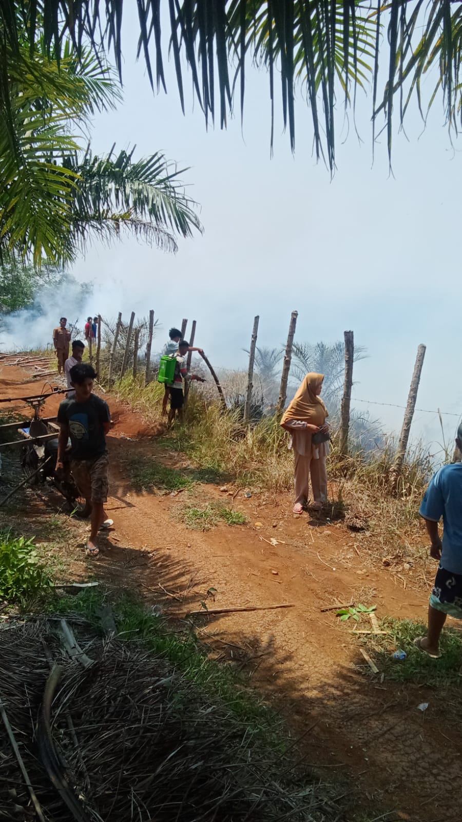 BREAKING NEWS: Karhutla Lagi di Bengkulu Tengah, 1 Hektare Lahan Perkebunan Sawit Terbakar