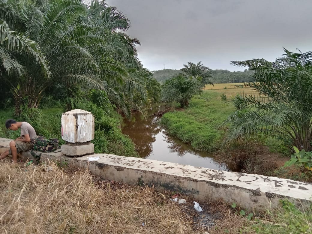 Dua Aliran Sungai Perlu Dinormalisasi