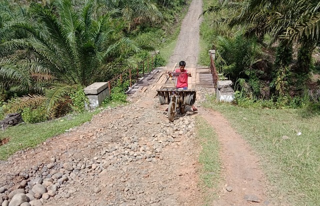 Jalan dan Jembatan di Desa Dusun Anyar Butuh Perbaikan