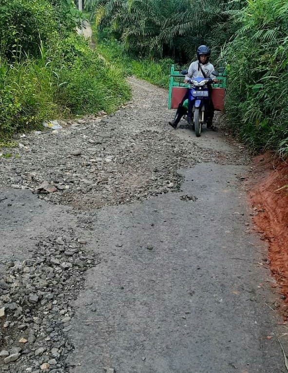 Akses Jalan Kabupaten Rusak, Sekdes: Mana Perhatian Pemerintah?