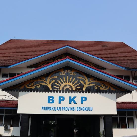 BPKP: Realisasi Anggaran Covid Benteng 13,21 Persen