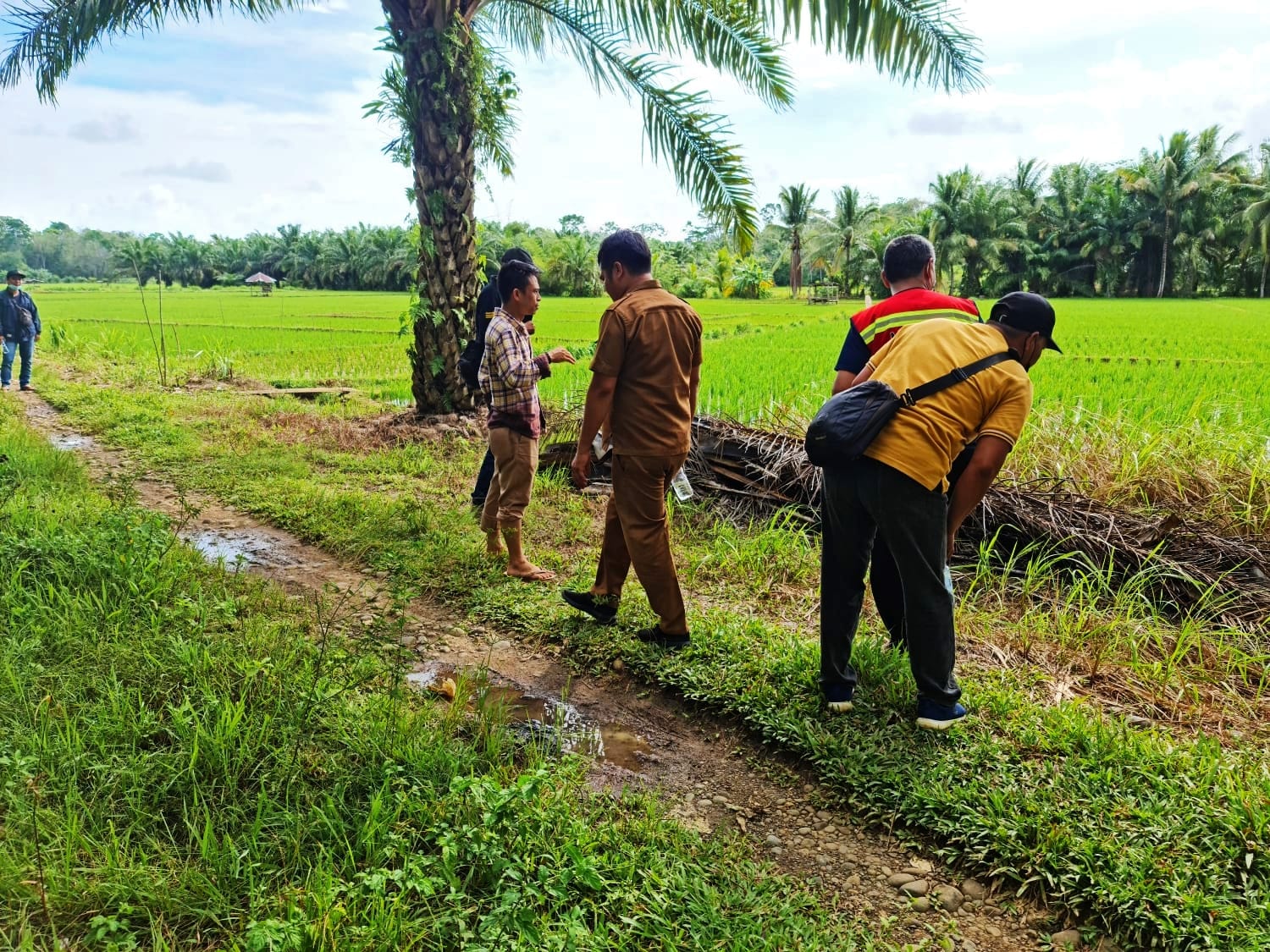 November, Paket Irigasi Senilai Rp 2,49 M Ditargetkan Tuntas