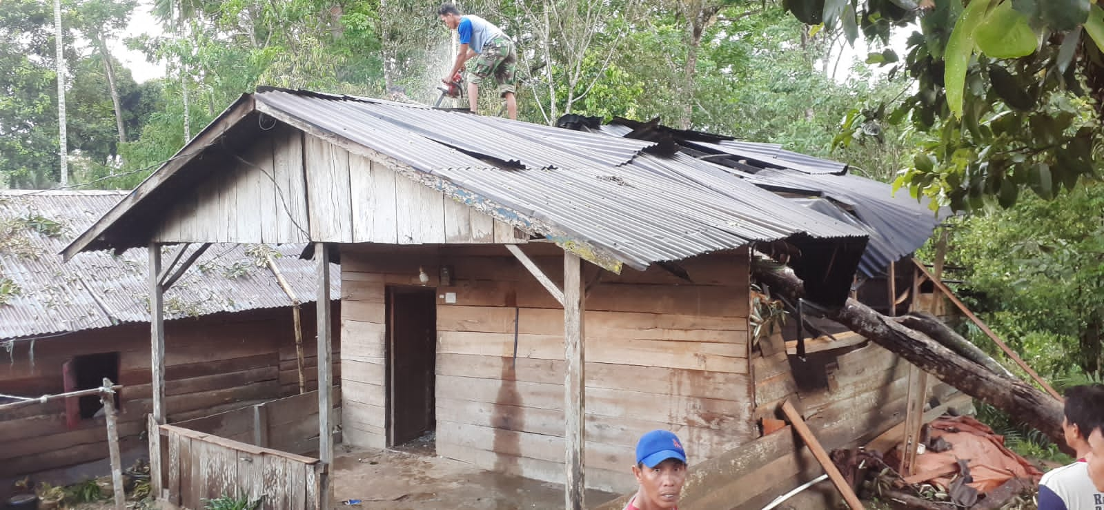 Pohon Durian Roboh Diterjang Angin, Rumah Warga Rusak Berat