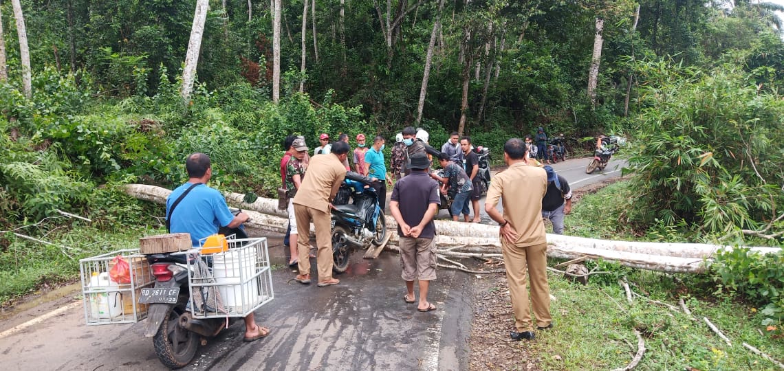 Pohon Sengon Tumbang, Listrik 6 Desa Padam