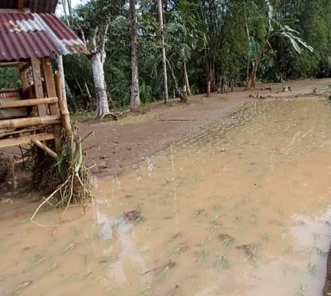 Puluhan Ha Sawah Rusak,11 Rumah Terendam, Pagar Kantor Desa Roboh