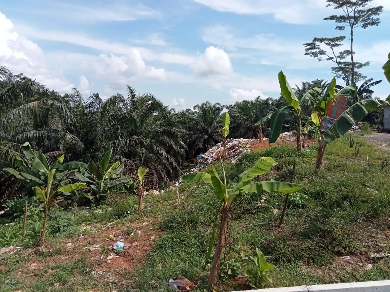 Lahan di Desa Ini Jadi Tempat Pembuangan Sampah Warga Kota