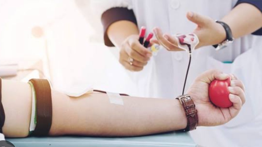 Manfaat Donor Darah untuk Tubuh Jika Rutin Dilakukan