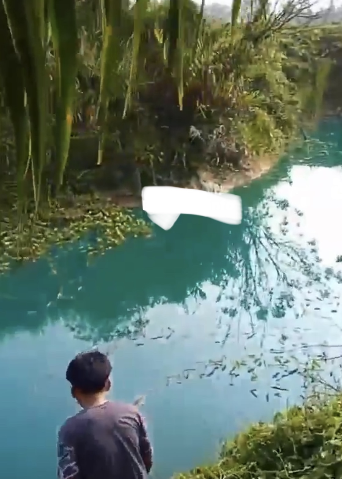 Heboh di Medsos Postingan Danau Biru Pindah ke Desa Pondok Kelapa, Cek Faktanya