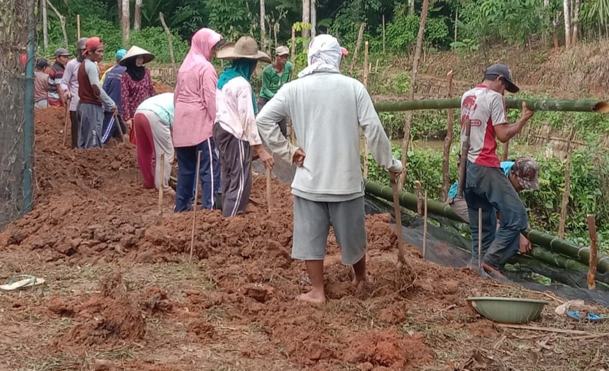 Budidaya Ikan Lele Diharapkan Sumbang PADes Air Putih 