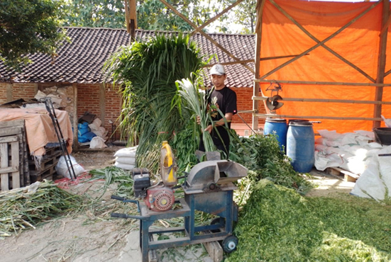 Kisah Pengusaha Pakan Ternak dari Ponorogo Ini Buktikan KUR BRI Bisa Bikin Usaha Berkembang
