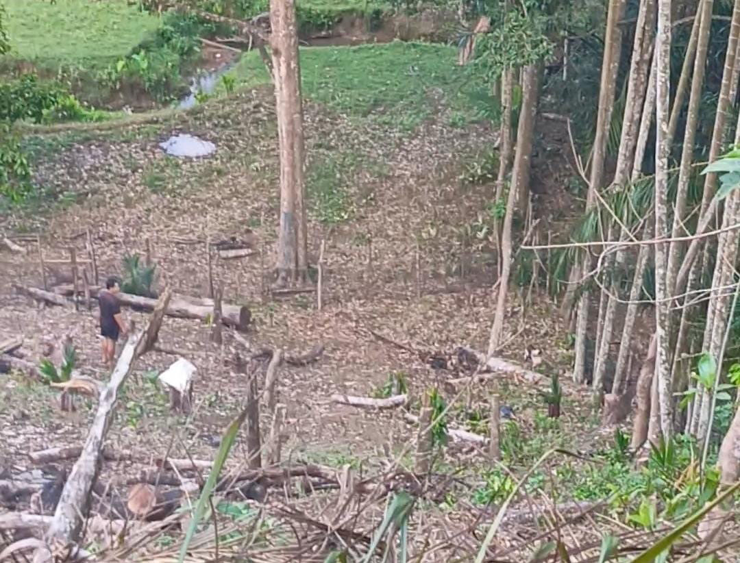 Perda Ternak Dinilai Belum Efektif, Warga Minta Satpol PP Segera Bertindak