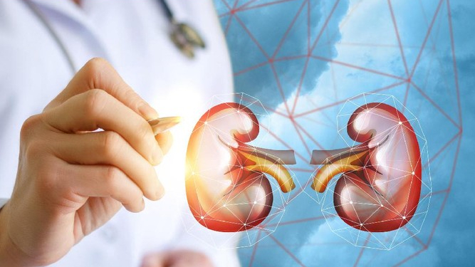 Kenali 7 Masalah Kesehatan Ini, Bisa Jadi Pertanda Fungsi Organ Ginjal Terganggu