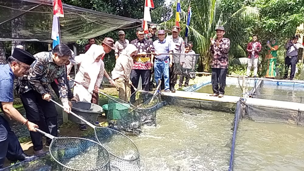 Budidaya Lele Hasil Melimpah, Pj Bup Puji Desa Taba Pasmah