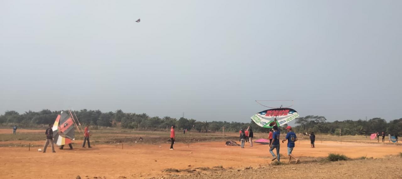 Ratusan Layang-layang Hiasi Langit Desa Harapan