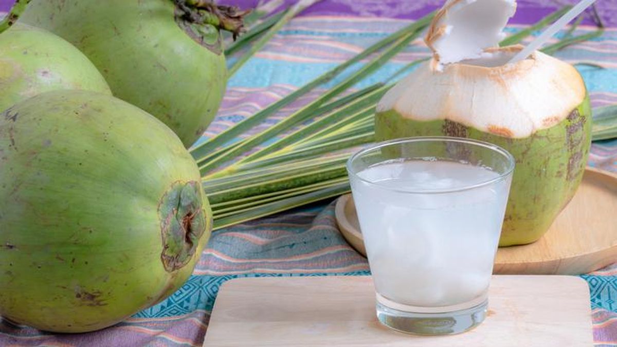 Tak Banyak yang Tahu, Inilah 5 Waktu Terbaik Minum Air Kelapa