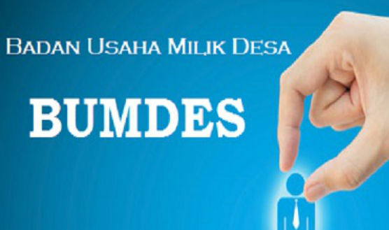 Kumpulkan Pengelola BUMDes, DPMD Kabupaten Bengkulu Tengah Perkenalkan Aplikasi Ini