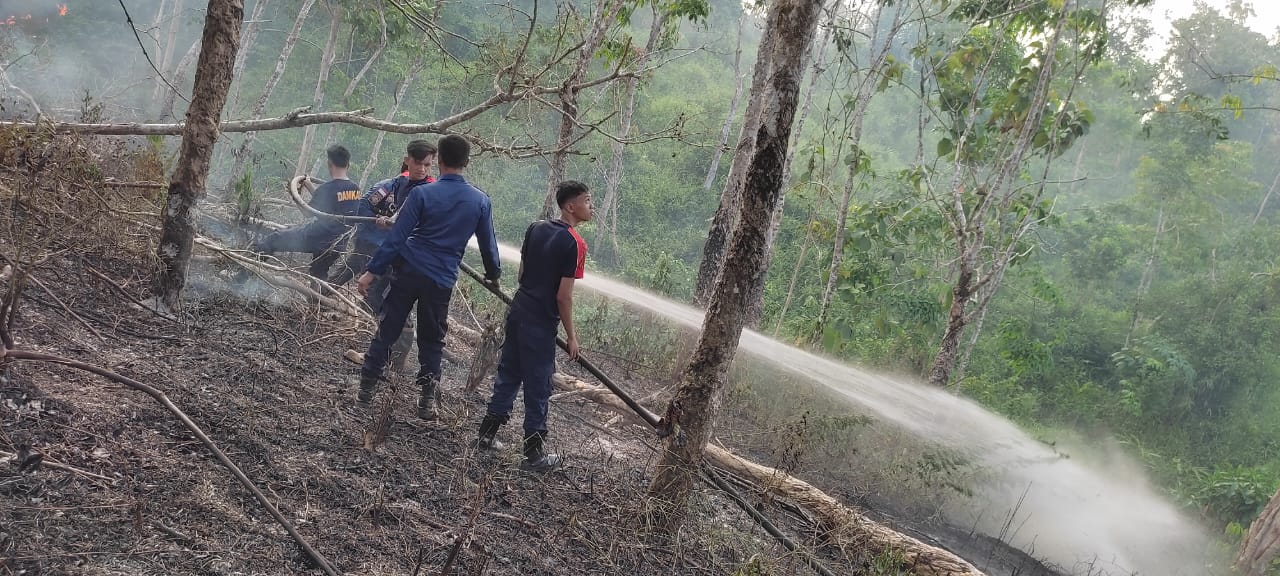 Karhutla Membara, Ini Daftar Desa di Bengkulu Tengah yang Lahannya Terbakar