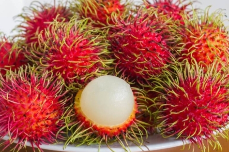 Benarkah Buah Rambutan Bikin Batuk? Cek Fakta di Sini, Lengkap dengan Manfaatnya untuk Kesehatan