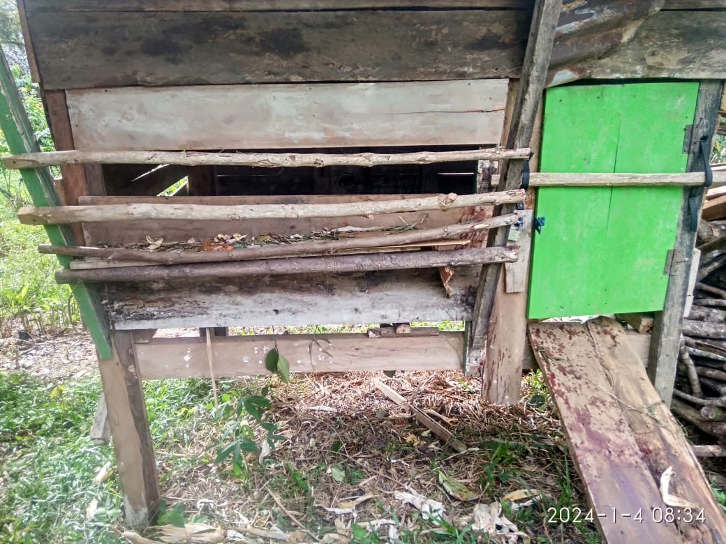 2 Ekor Kambing di Desa Taba Renah Bengkulu Tengah Raib Digasak Maling