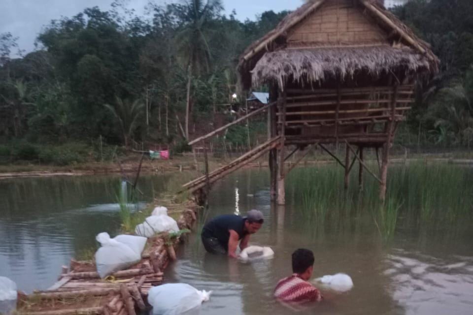 Budidaya Ikan Nila Diharapkan Tingkatkan Pendapatan Desa