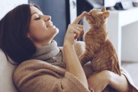 Memelihara Kucing Berpengaruh Positif Bagi Kesehatan, Mitos atau Fakta? 
