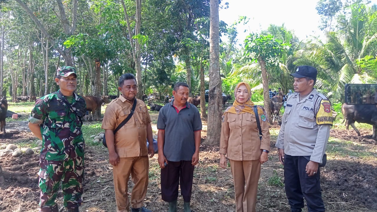 Camat Berikan Imbauan Ini Kepada Penjual Hewan Kurban