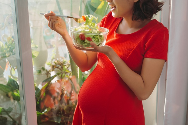 Panduan Lengkap : 10 Tips Menjaga Pola Makan dan Kesehatan Tubuh bagi Ibu Hamil