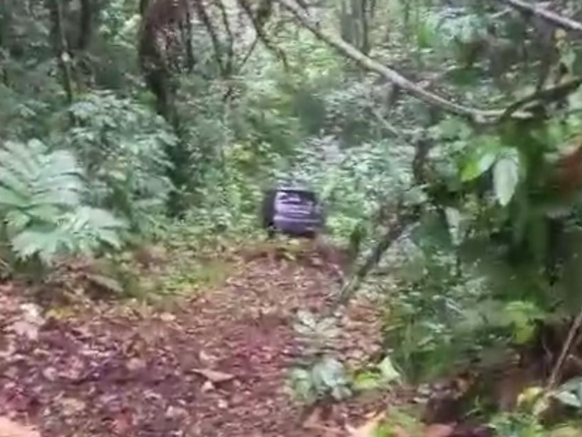 Mobil Masuk Jurang di Kawasan Liku Sembilan Bengkulu Tengah, 7 Penumpang Selamat