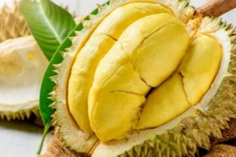 Lima Manfaat Konsumsi Buah Durian Bagi Kesehatan yang Tak Disangka-sangka