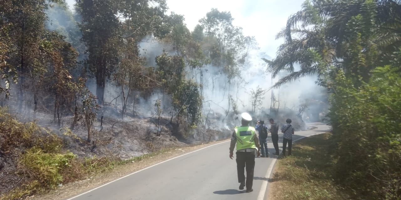 Karhutla di Bengkulu Tengah Mulai Marak, Lahan Dua Desa Terdampak