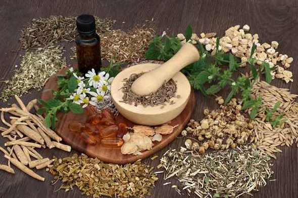 5 Tanaman Herbal yang Ampuh untuk Menyingkirkan Rasa Sakit, Solusi Alami Kesehatan Tubuh