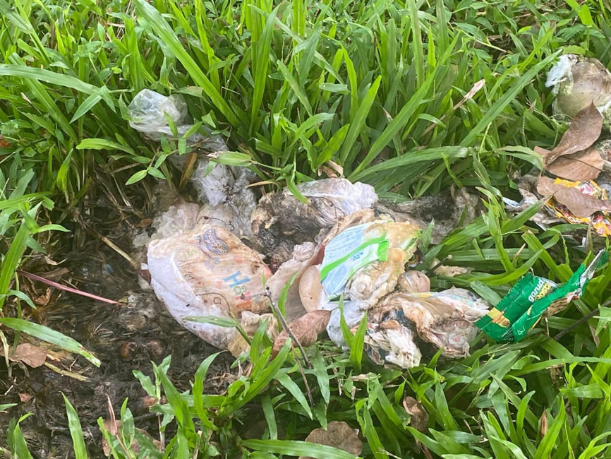 DLH Temukan Tumpukan Pampers di Jalan Sepi, Ini Dampaknya Menurut Tenaga Kesehatan