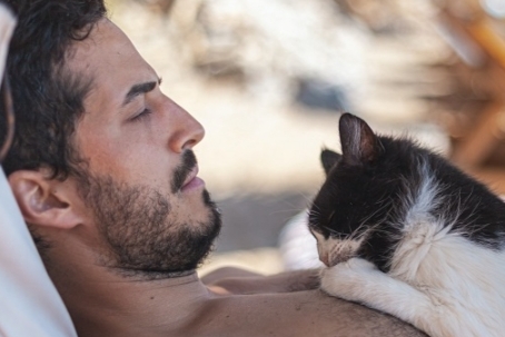 Berikut Alasan Kenapa Pria Pecinta Kucing adalah Pasangan Idaman untuk Kamu, ya Kamu! 