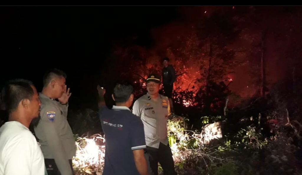 Api Karhutla Membara Lagi, Satu Setengah Hektare Lahan di Bengkulu Tengah Terdampak