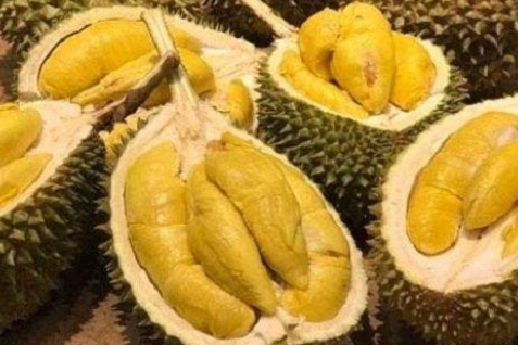 Jangan Ngaku Pecinta Durian kalau Belum Tahu Sederet Fakta Unik Berikut