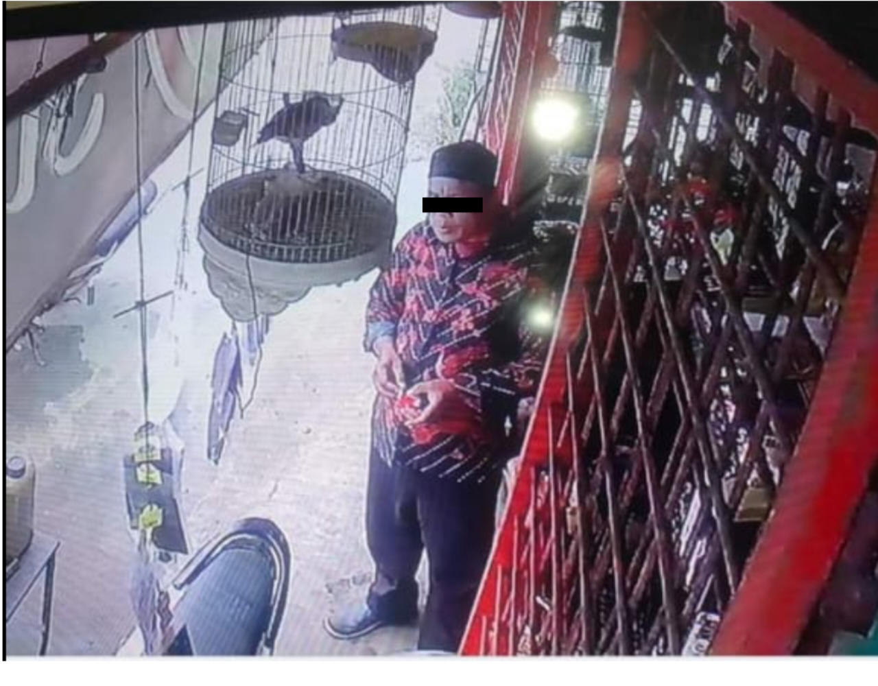 Aksi Terduga Pelaku Pencurian Hp Terekam CCTV