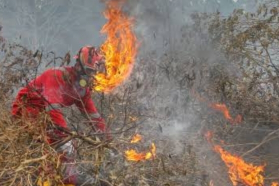 Terdeteksi 6.659 Titik Panas, 80 Persen Berpeluang Jadi Titik Api, 6 Provinsi Ini Prioritas Penanganan