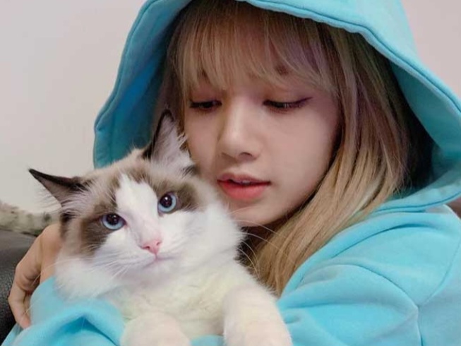 Member Blackpink Ini Satu-satunya yang Pecinta Kucing, Yuk Kenalan Sama Kucing Peliharaannya 