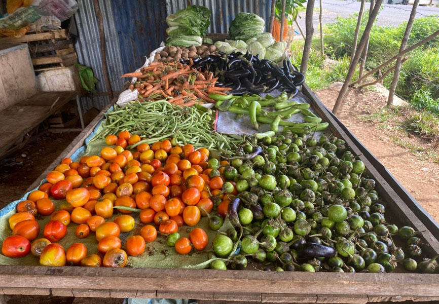 Memasuki Pertengahan Puasa, Harga Cabai Merah Turun Drastis, Ayam Potong Ikut Melemah