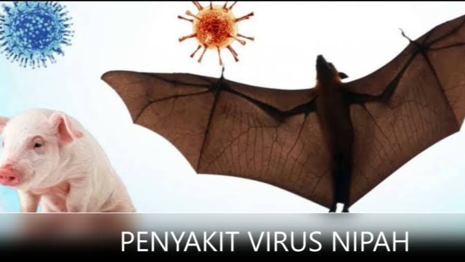 Virus Nipah Mengancam, Kementerian Kesehatan Terbitkan Edaran Minta Seluruh Pemangku Kepentingan Waspada