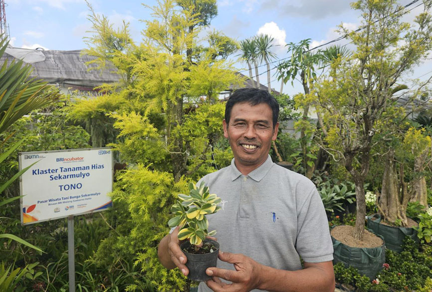 Sukses Jadi Mata Pencaharian Warga Sekitar, Ini Kisah Klaster Usaha Tanaman Hias Binaan BRI 