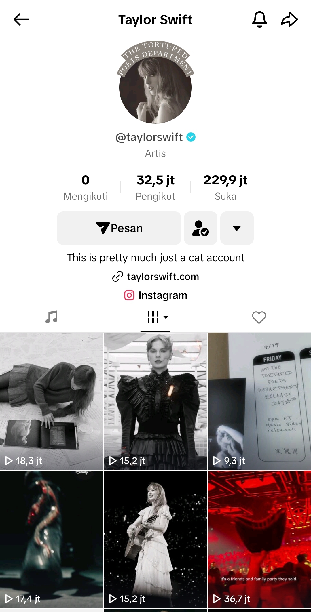 Mau Buat Bingkai Foto Profil Tiktok Kamu Ala Taylor Swift? Ini Caranya