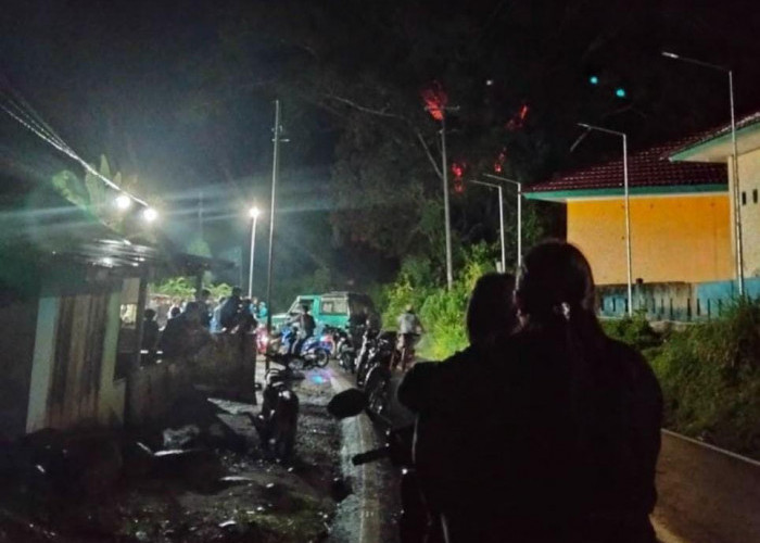 Sempat Bikin Panik, Kebakaran Pohon Karet Terjadi di Depan SMPN 13 Bengkulu Tengah