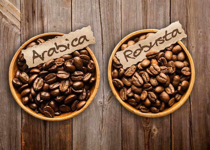 Pilih Mana, Kopi Robusta atau Arabika? Simak Perbedaan dan Keunggulannya