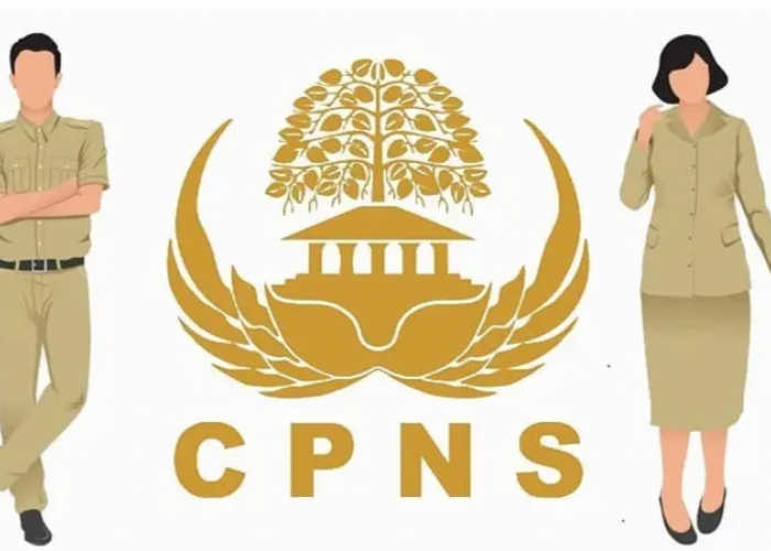 Mau Ikut Tes CPNS 2024? Yuk Kenali Dulu Jenis-jenis Soal yang Akan Diujikan