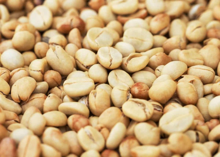 Kopi Ini Lebih Aman dari Kopi Hitam? Ini Fakta White Coffee