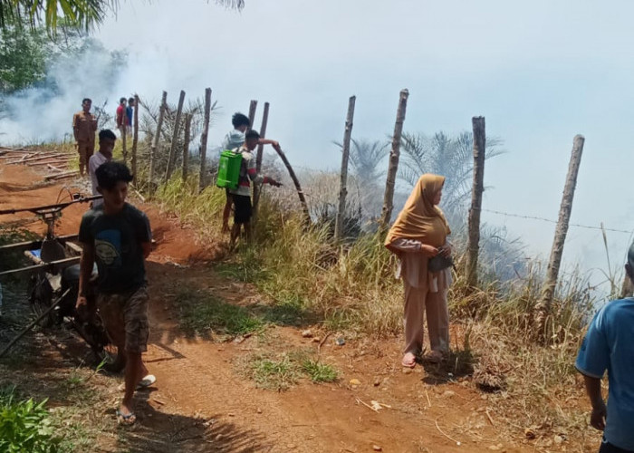 BREAKING NEWS: Karhutla Lagi di Bengkulu Tengah, 1 Hektare Lahan Perkebunan Sawit Terbakar
