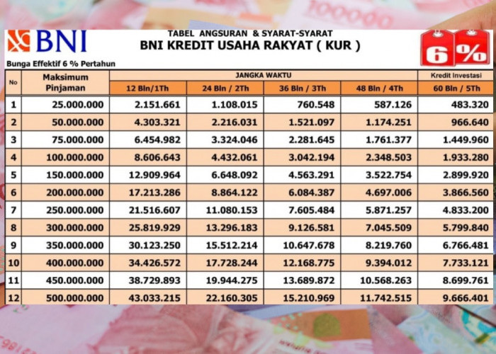 Ajukan KUR BNI 2025 dan Dapatkan Pinjaman Modal Usaha hingga Rp500 Juta, Ini Syarat dan Cara Pengajuannya!